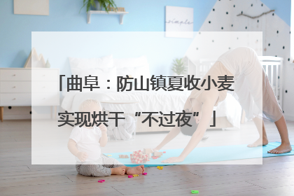 曲阜：防山镇夏收小麦实现烘干“不过夜”