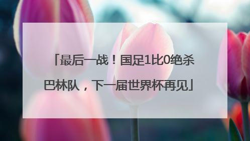 最后一战！国足1比0绝杀巴林队，下一届世界杯再见