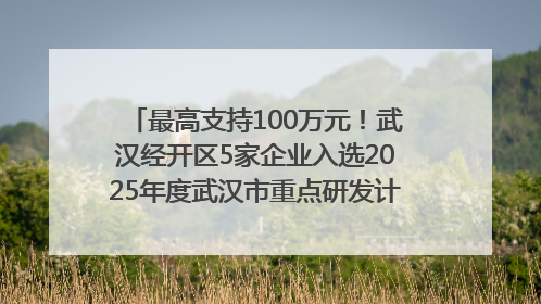 最高支持100万元！武汉经开区5家企业入选2025年度武汉市重点研发计划拟立项项目名单