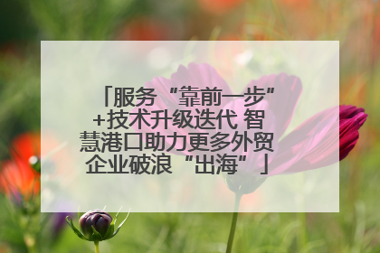 服务“靠前一步”+技术升级迭代 智慧港口助力更多外贸企业破浪“出海”