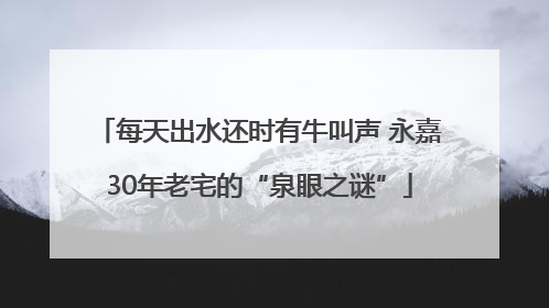 每天出水还时有牛叫声 永嘉30年老宅的“泉眼之谜”