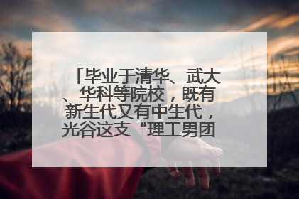 毕业于清华、武大、华科等院校，既有新生代又有中生代，光谷这支“理工男团”为何“出道”？
