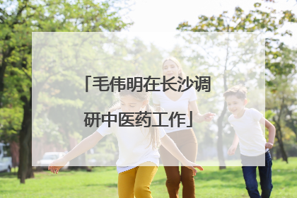 毛伟明在长沙调研中医药工作