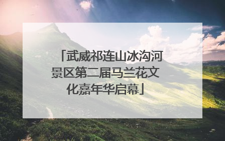 武威祁连山冰沟河景区第二届马兰花文化嘉年华启幕
