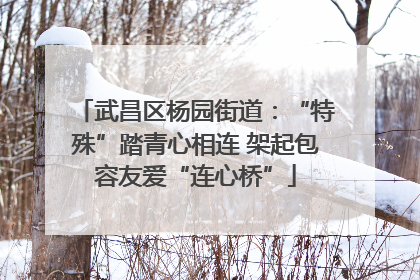 武昌区杨园街道：“特殊”踏青心相连 架起包容友爱“连心桥”