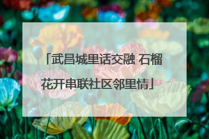 武昌城里话交融 石榴花开串联社区邻里情