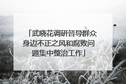 武晓花调研督导群众身边不正之风和腐败问题集中整治工作