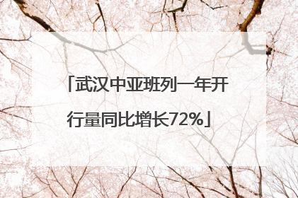 武汉中亚班列一年开行量同比增长72%