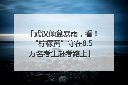 武汉倾盆暴雨，看！“柠檬黄”守在8.5万名考生赶考路上
