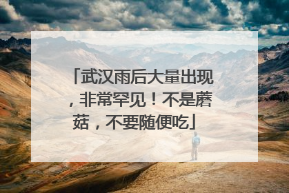武汉雨后大量出现，非常罕见！不是蘑菇，不要随便吃