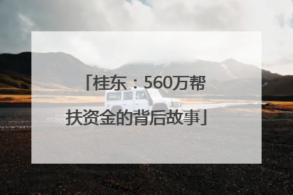 桂东：560万帮扶资金的背后故事