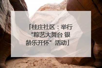 桂庄社区：举行“粽艺大舞台 银龄乐开怀”活动