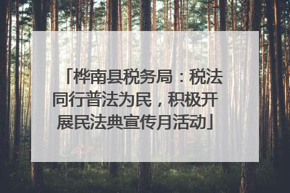 桦南县税务局：税法同行普法为民，积极开展民法典宣传月活动