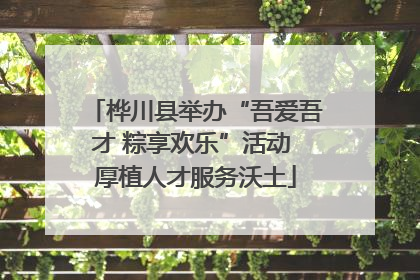 桦川县举办“吾爱吾才 粽享欢乐”活动 厚植人才服务沃土