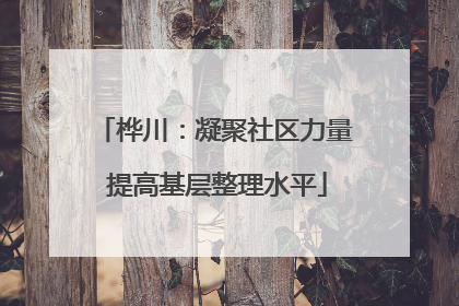 桦川：凝聚社区力量 提高基层整理水平