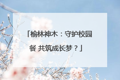 榆林神木：守护校园餐 共筑成长梦？