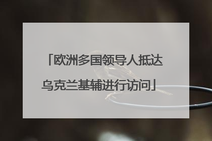 欧洲多国领导人抵达乌克兰基辅进行访问