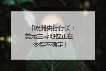 欧洲央行行长：美元主导地位正在变得不确定