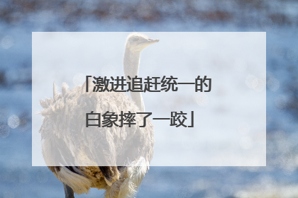 激进追赶统一的白象摔了一跤