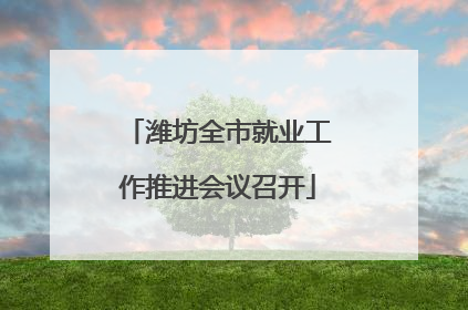 潍坊全市就业工作推进会议召开