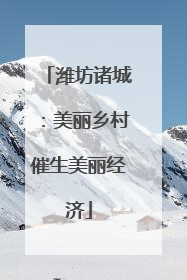 潍坊诸城：美丽乡村催生美丽经济
