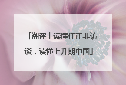 潮评丨读懂任正非访谈，读懂上升期中国