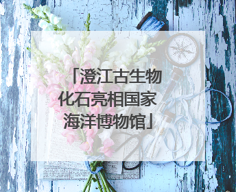 澄江古生物化石亮相国家海洋博物馆