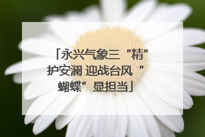 永兴气象三“精”护安澜 迎战台风“蝴蝶”显担当