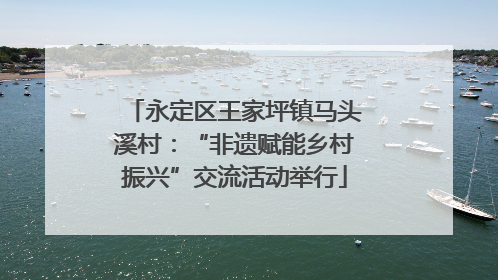 永定区王家坪镇马头溪村：“非遗赋能乡村振兴”交流活动举行