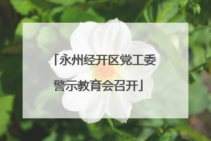 永州经开区党工委警示教育会召开