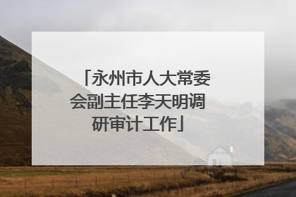 永州市人大常委会副主任李天明调研审计工作