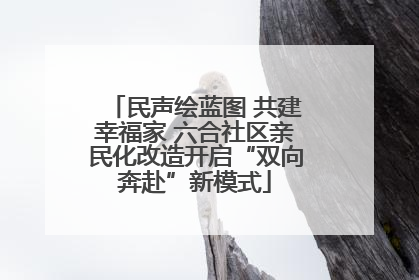 民声绘蓝图 共建幸福家 六合社区亲民化改造开启“双向奔赴”新模式