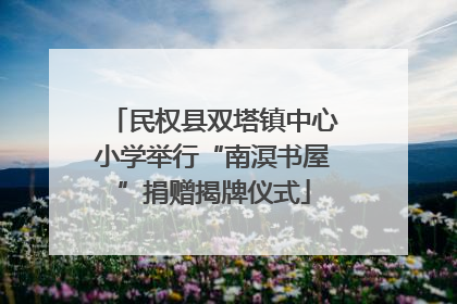 民权县双塔镇中心小学举行“南溟书屋”捐赠揭牌仪式