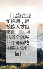 民营企业忙招聘，高技能人才很吃香——河北省个体私营企业网络招聘大会扫描