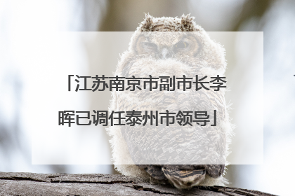 江苏南京市副市长李晖已调任泰州市领导