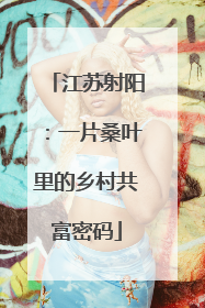 江苏射阳：一片桑叶里的乡村共富密码