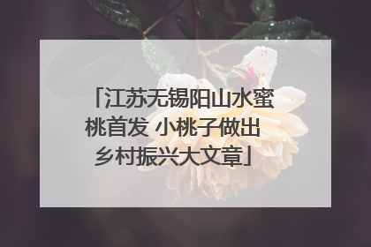 江苏无锡阳山水蜜桃首发 小桃子做出乡村振兴大文章