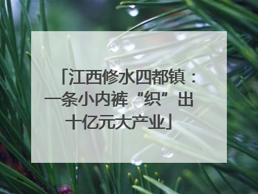 江西修水四都镇：一条小内裤“织”出十亿元大产业