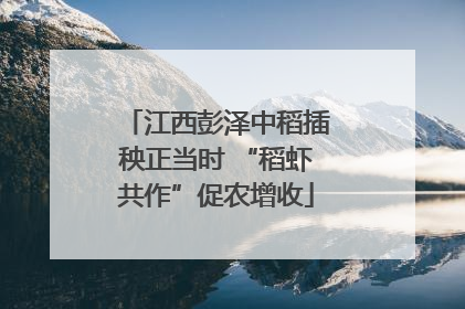 江西彭泽中稻插秧正当时 “稻虾共作”促农增收