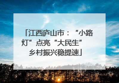 江西庐山市：“小路灯”点亮“大民生” 乡村振兴稳提速