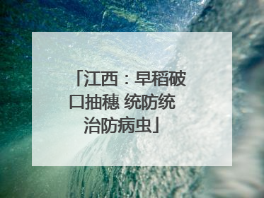 江西：早稻破口抽穗 统防统治防病虫