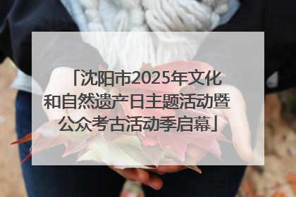 沈阳市2025年文化和自然遗产日主题活动暨公众考古活动季启幕