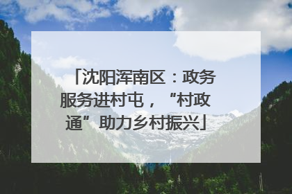 沈阳浑南区：政务服务进村屯，“村政通”助力乡村振兴