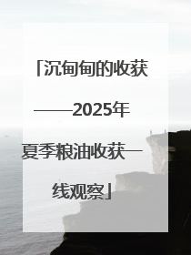 沉甸甸的收获——2025年夏季粮油收获一线观察