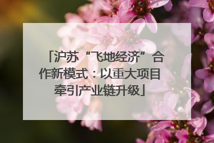 沪苏“飞地经济”合作新模式：以重大项目牵引产业链升级
