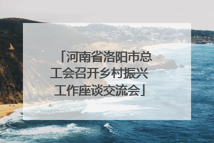 河南省洛阳市总工会召开乡村振兴工作座谈交流会