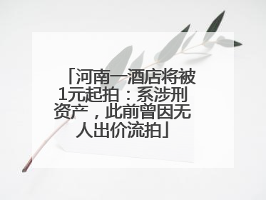 河南一酒店将被1元起拍：系涉刑资产，此前曾因无人出价流拍