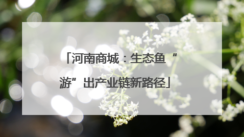 河南商城：生态鱼“游”出产业链新路径