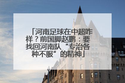 河南足球在中超咋样？前国脚赵鹏：要找回河南队“专治各种不服”的精神