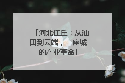河北任丘：从油田到云端，一座城的产业革命